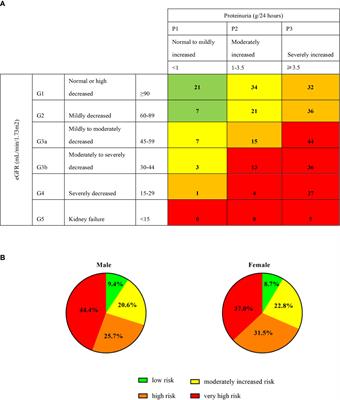 Sex Differences in Biopsy-Confirmed Diabetic Kidney Disease